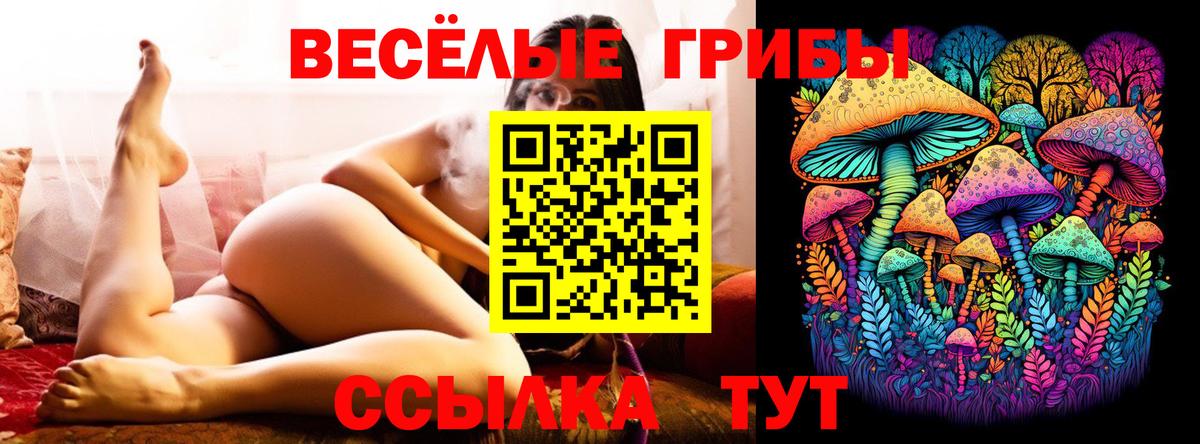 Воскресенск  Псилоцибиновые грибы MAGIC MUSHROOMS  Вход с VPN 